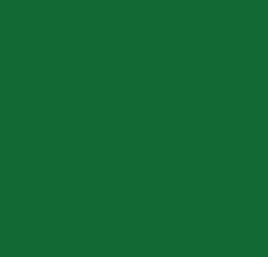 Farba na nábytok Tree Frog Green 2