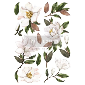 Transfér na nábytok Magnolia Grandiflora