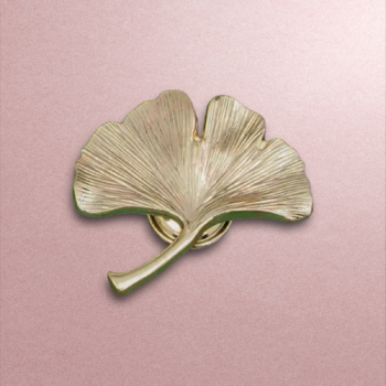 Nábytková úchytka Ginko