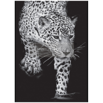 Papier na dekupáž Feline Gaze