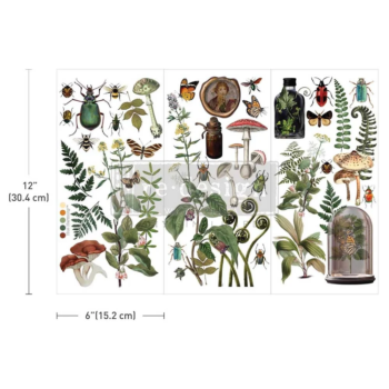Transfér na nábytok Botanical Archives
