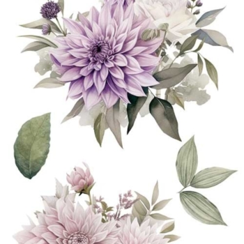 Transfér na nábytok Dahlias A4,5 - La Vie En Fleurs