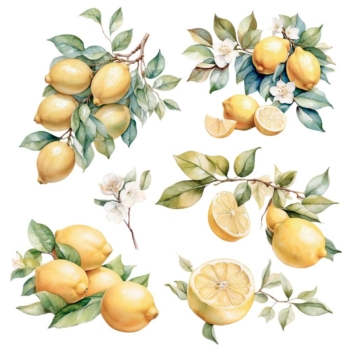 Transfér na nábytok Lemon Fruit Market A3