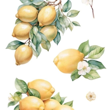 Transfér na nábytok Lemon Fruit Market A4