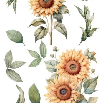 Transfér na nábytok Sunflowers A4 - La Vie En Fleur