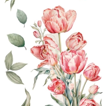 Transfér na nábytok Tulips A4 - La Vie En Fleur